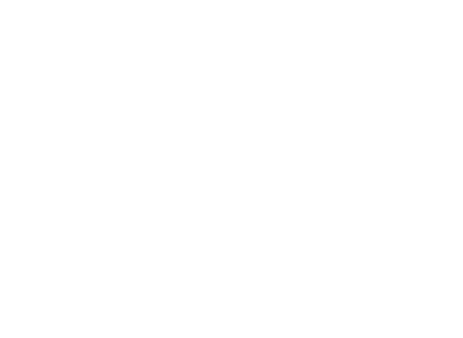 Srishti Craft